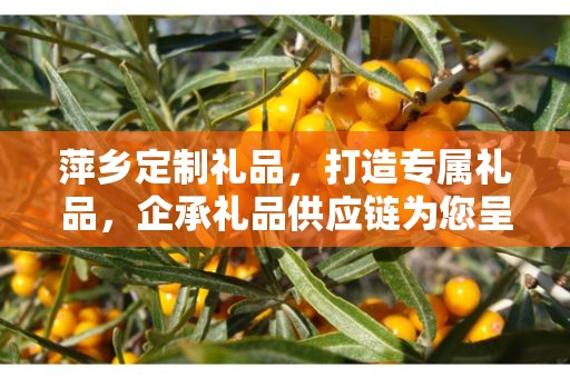萍乡定制礼品，打造专属礼品，企承礼品供应链为您呈现独特体验