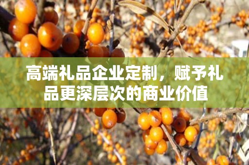 高端礼品企业定制，赋予礼品更深层次的商业价值