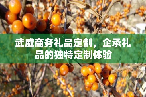 武威商务礼品定制，企承礼品的独特定制体验