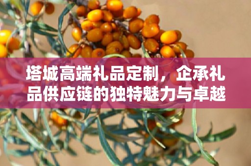 塔城高端礼品定制，企承礼品供应链的独特魅力与卓越服务