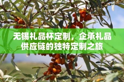 无锡礼品杯定制，企承礼品供应链的独特定制之旅